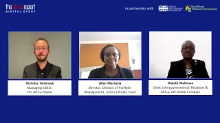 Webinar: What does a successful COP27 look like for Africa?