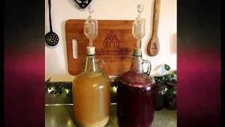 How to Make Wine from Home Grown Fruit: Part 2