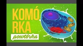 Komórka - Błona komórkowa i ściana komórkowa - Powtórka z biologii