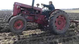 Bukh 403 Super Working in Hard Soil w/ 3-Furrow Skjold Plough | Store Pløjedag 2018 | MTKJ Nibe