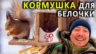 Кормушка для белочки