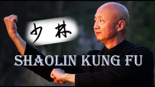 Shaolin Kung Fu Basic Training for Adults - Session 1