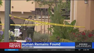 Human remains found in trash enclosure of Camarillo apartment complex