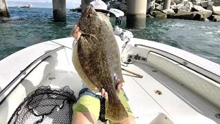 CATCHING THE BRIDGE MONSTER! HOW TO Catch GIANT FLOUNDER with LIVE MULLET