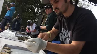 Wellfleet OysterFest Shuck-Off Championship round 2017