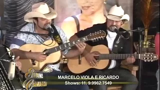 Marcelo Viola & Ricardo cantam ao vivo "Viola está chorando" (cover)