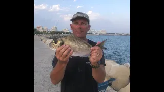 MONTAGE TRÈS SIMPLE POUR PECHER A LA MER  : FONDS ROCHEUX ET DIGUES