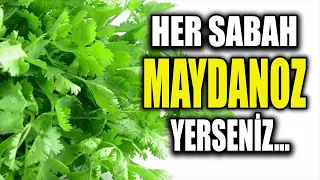 Her Sabah Aç Karnına Bir Tutam Maydanoz Yerseniz Bunlar Olur!