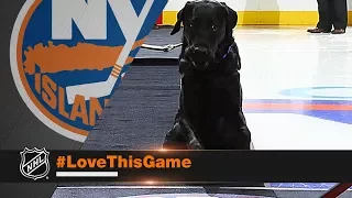 Charlie the dog drops ceremonial first puck