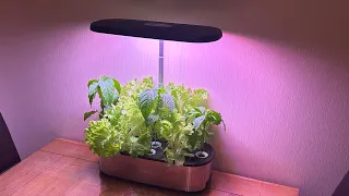 Hydroponic growing system sent by LetPot | Review with updates | Garden Ideas & DIY