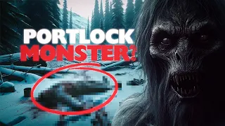 A whole town saw it... Portlock Monster: What most likely happened