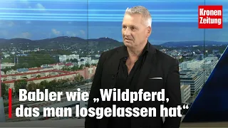 SPÖ-Unstimmigkeiten: Babler wie „Wildpferd, das man losgelassen hat“ | krone.tv NACHGEFRAGT