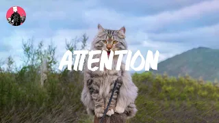 Charlie Puth - Attention (Mix) - Dua Lipa, Passenger, Avicii