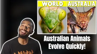 AMERICAN REACTS TO Why Is Australia Turning Ordinary Animals Into Monsters?