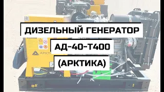 Дизельный генератор АД-40-Т400 (АРКТИКА)