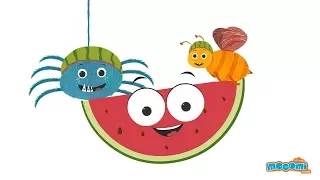 What makes watermelon a cool fruit? Ask Coley - Health Tips for Kids | Educational Videos by Mocomi