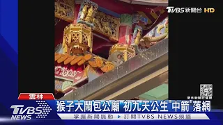 猴子大鬧包公廟 初九天公生「中箭」落網｜TVBS新聞 @TVBSNEWS02