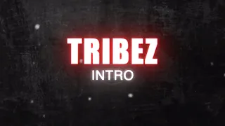 Young Tribez - Intro | OFFICIAL AUDIO | £R | @youngtribez_er