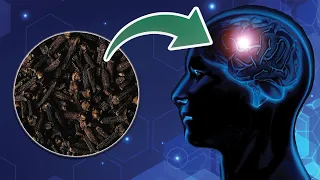 What Happens To Your Body When You Eat 2 Cloves Everyday