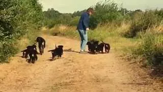 Unser letzter Spaziergang mit dem E Wurf