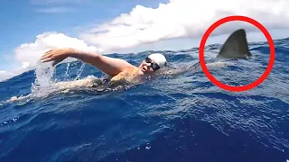 6 Shark Encounters That'll Leave Your Jaw Hanging