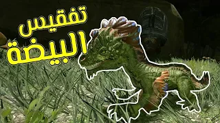 أرك الموسم الثاني الحلقة 5 | تفقيس البيضة وتعديل البيت! Ark