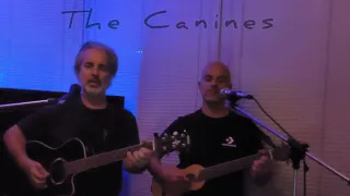 House of the Rising Sun (cover) by The Canines