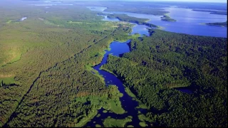 Селигер, Полоновка.  07.2017. DJI Mavic