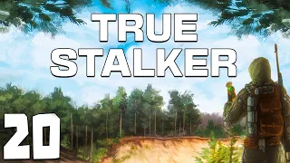 S.T.A.L.K.E.R. True Stalker #20. Новошепеличи