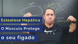 Esteatose Hepática - O músculo protege o seu fígado
