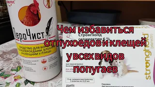 СРЕДСТВО ОТ ПУХОЕДОВ И КЛЕЩЕЙ У ВСЕХ ВИДОВ ПОПУГАЕВ 🔥ВАШ ПИТОМЕЦ ЧЕШЕТСЯ? 🔥