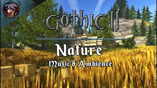 Gothic 2 Music & Ambience |  Nature Exploration | Relaxing