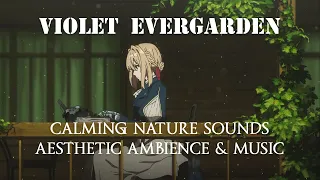 Violet Evergarden Aesthetic Ambience 💼🌿| calming nature sounds with healing music