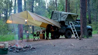 Solo Creekside Camping | Secluded and ALONE in the Forest | Nature Sounds [ASMR]