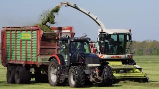 Gras hakselen door loonbedrijf Fittuh - 2022
