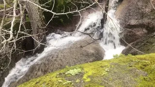 Below Little Cedar Falls