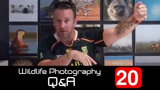 Wildlife Photography Q&A - Episode 20