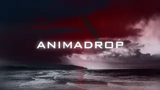 ANIMADROP | Calm-to-Energetic Mix