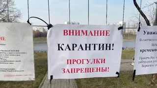 В Москве вводят карантин?