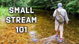 How to Choose The BEST Small Stream Fly Rod Setup