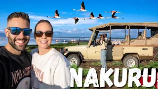 Our First Ever Safari in Nakuru Kenya Surprised Us