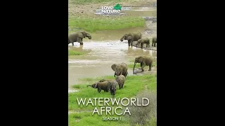 Водный мир Африки / Waterworld Africa / Серия 2  Калахари дельта Окаванго