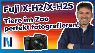 Fujifilm X-H2/X-H2S: Die besten Tipps für Tierporträts im Zoo
