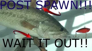 Post Spawn Bass Fishing for Beginners. Why I can't catch fish?