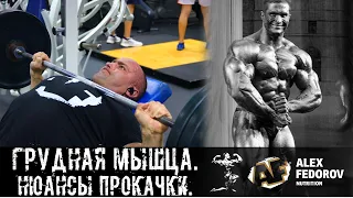 Грудная мышца. Нюансы прокачки  Chest muscle. The nuances of pumping