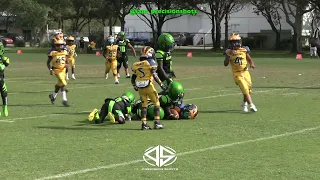 🔥🔥YNC Miami I Duval Jaguars "Pull Up Boyz" 6U (FL) vs. SED Wolverines WildBoyz (TX) | 2022