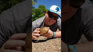 AWESOME TURTLE CATCH!! | THREE-TOED BOX TURTLE CAUGHT IN OKLAHOMA!!