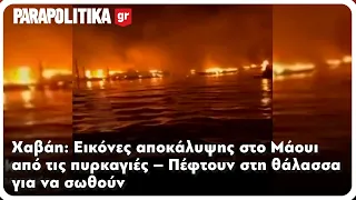 Χαβάη: Εικόνες αποκάλυψης στο Μάουι από τις πυρκαγιές | Parapolitika