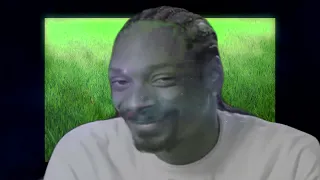 Snoop Dogg в иллюминаторе Mashup (Зеленая трава)