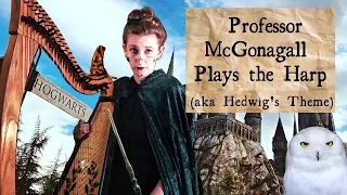 Professor McGonagall plays the harp | aka Hedwig's Theme | Harry Potter Harp Cover